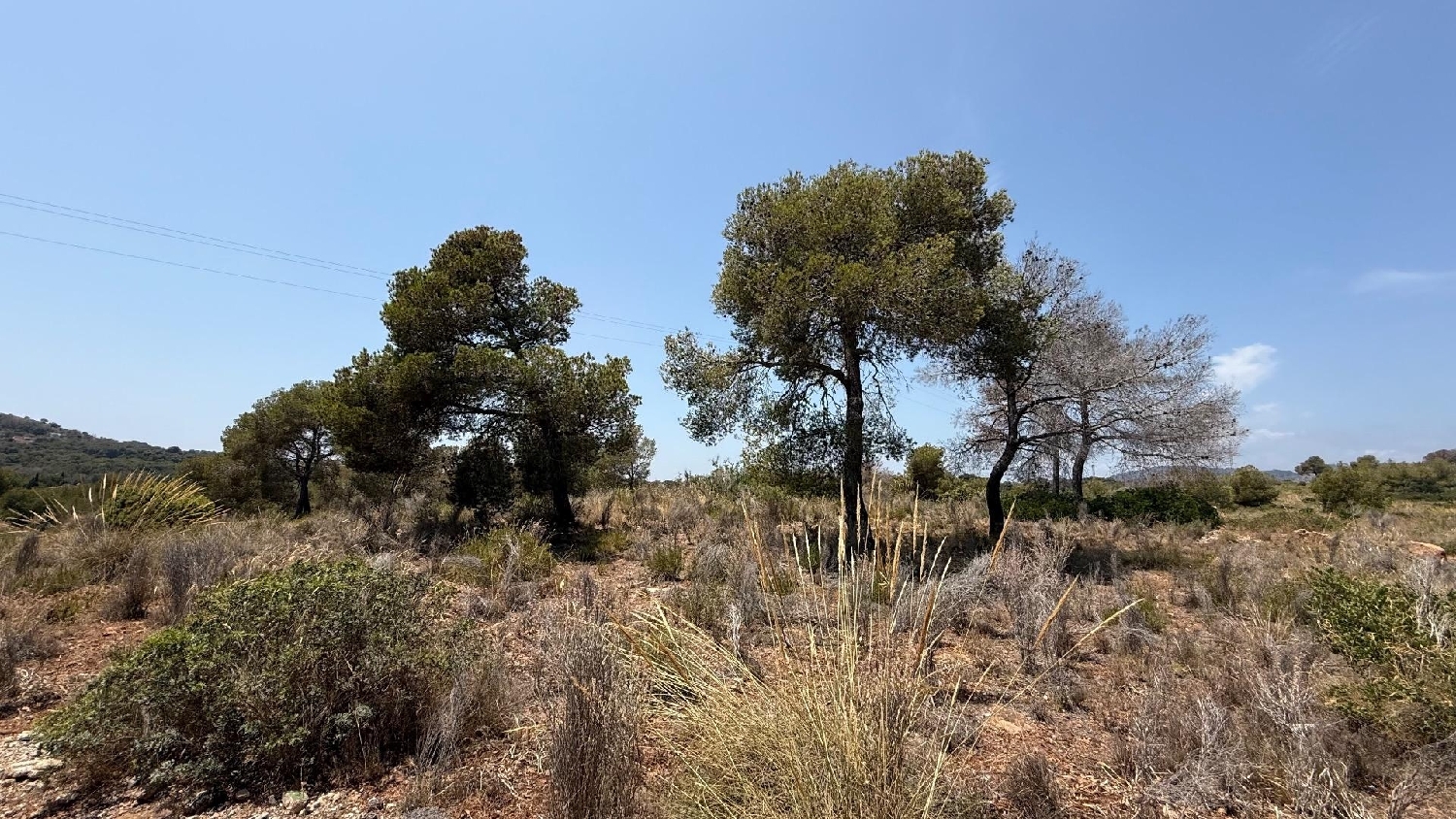  for sale plot Sagunto Camp De Morvedre 6