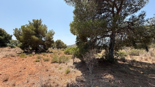 Sagunto Camp De Morvedre plot foto 6283316