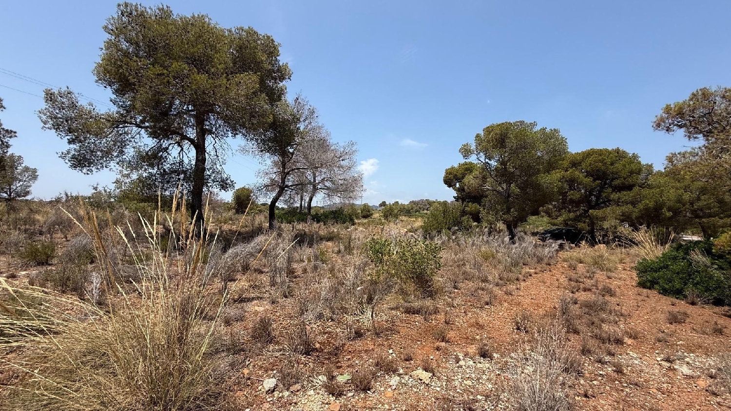  for sale plot Sagunto Camp De Morvedre 5