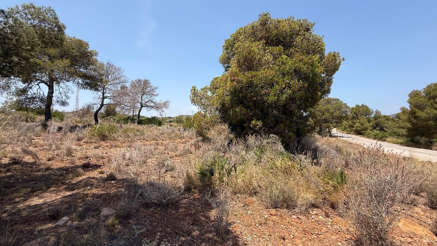 for sale plot Sagunto Camp De Morvedre 3