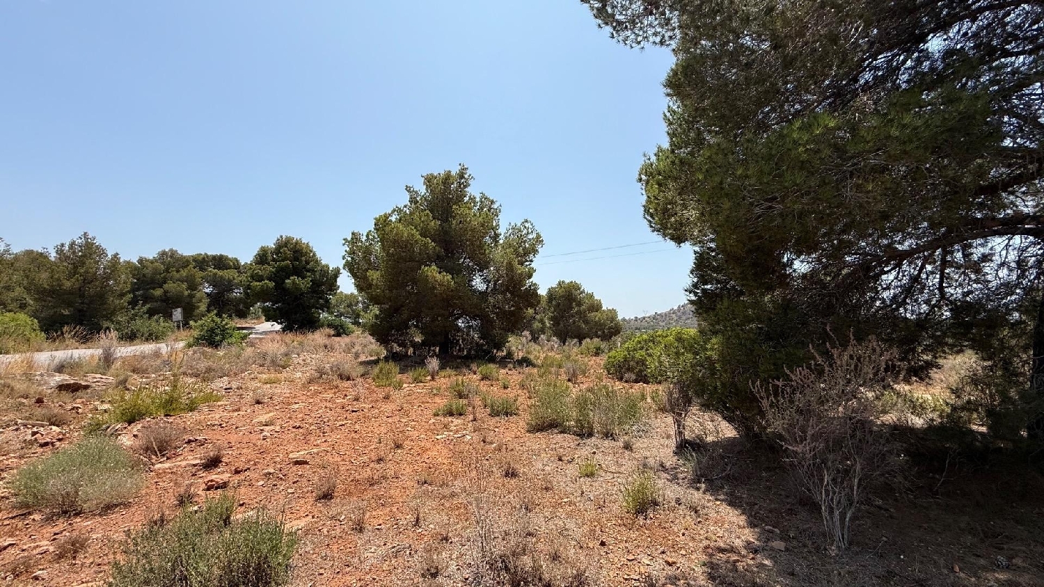 for sale plot Sagunto Camp De Morvedre 2