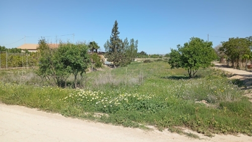 Sangonera La Seca Huerta De Murcia Grundstück Bild 6284192