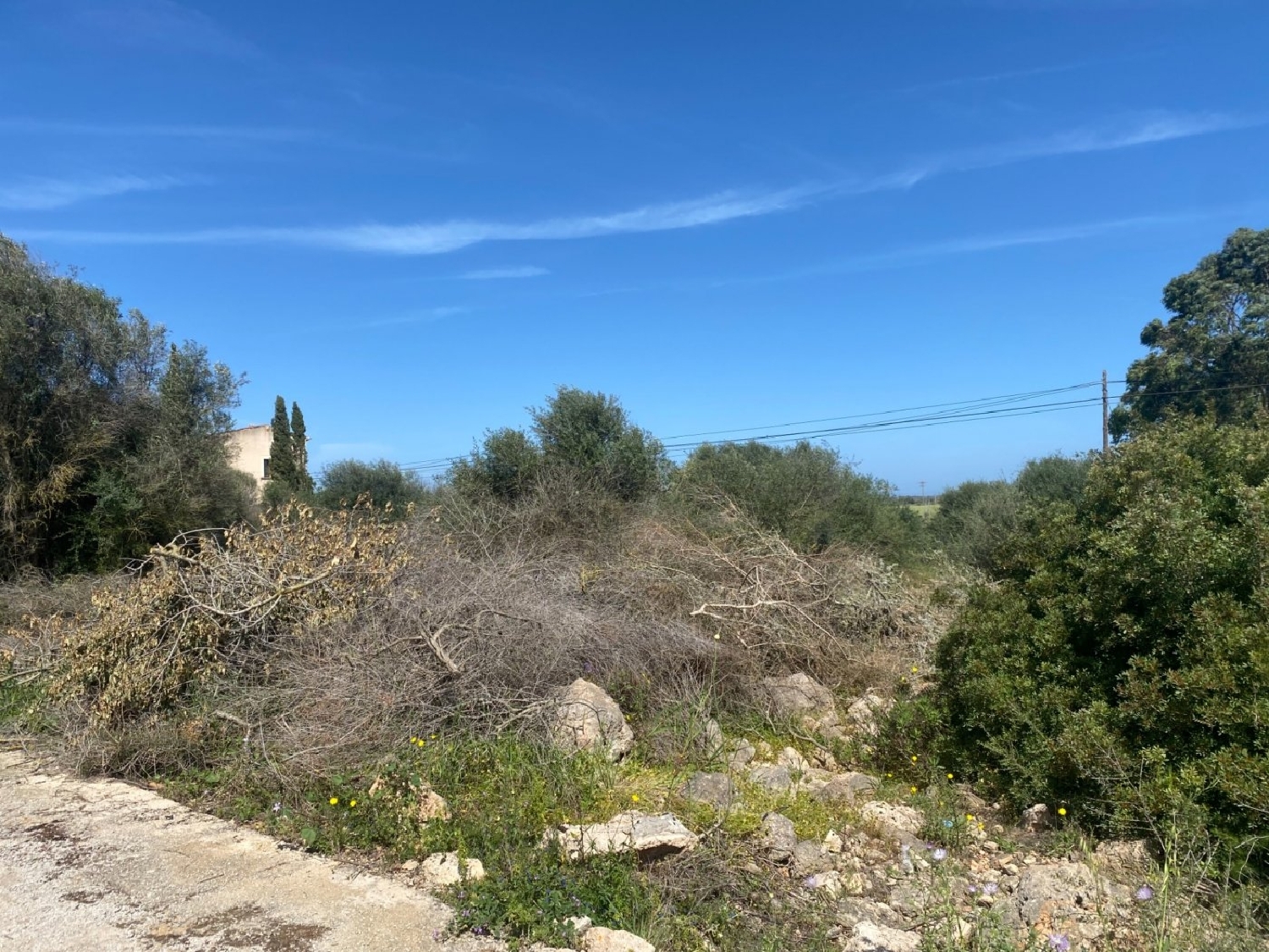 à vendre terrain Sant Jordi De Ses Salines Sant Josep De Sa Talaia 3