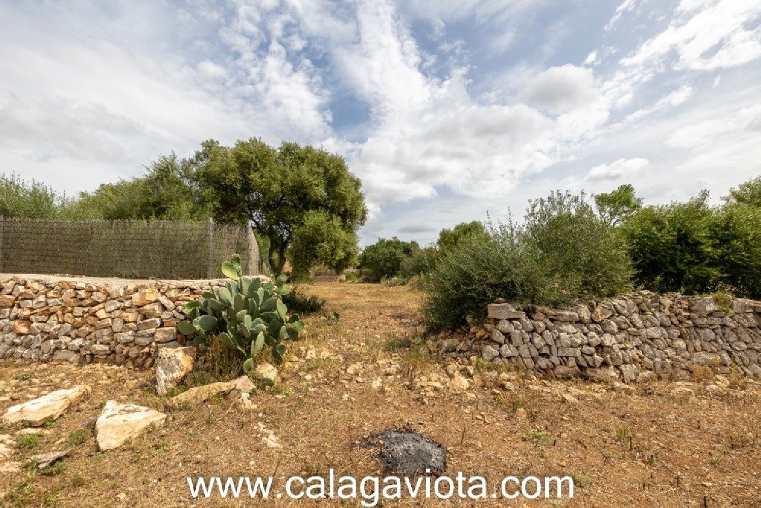  à vendre terrain Sant Jordi De Ses Salines Sant Josep De Sa Talaia 1