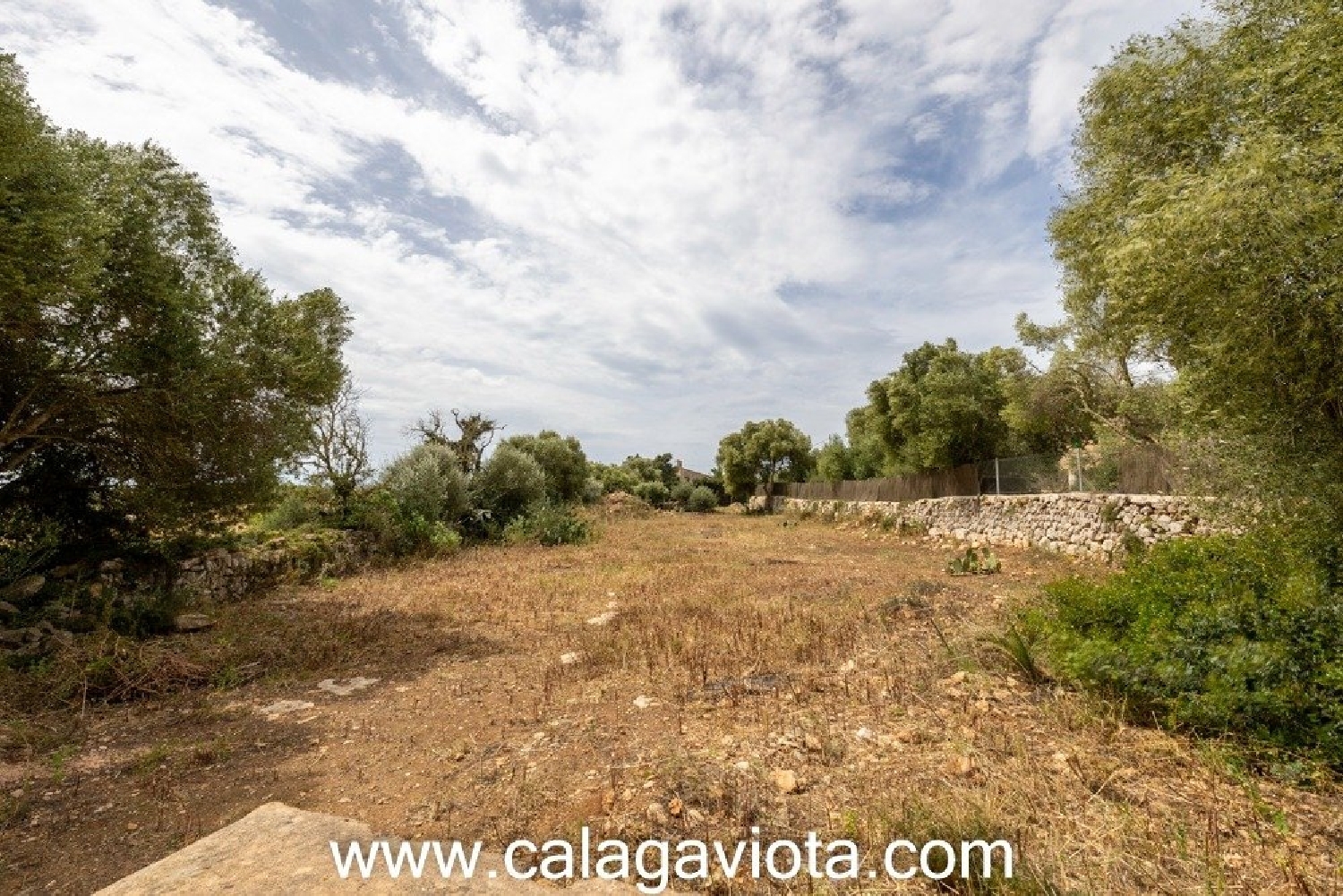 à vendre terrain Sant Jordi De Ses Salines Sant Josep De Sa Talaia 2