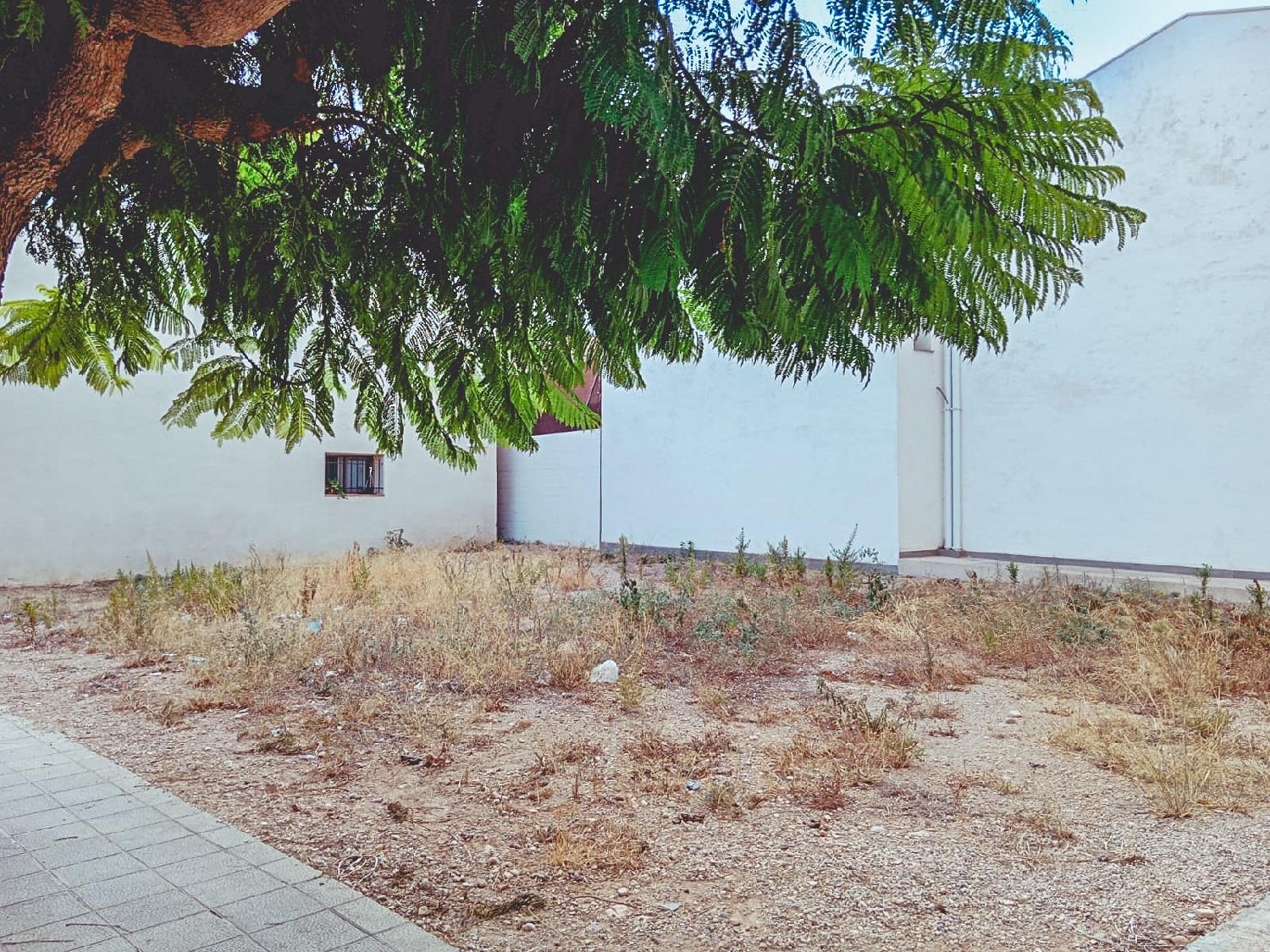  kaufen Grundstück Santa Barbara Levante Almeriense 4