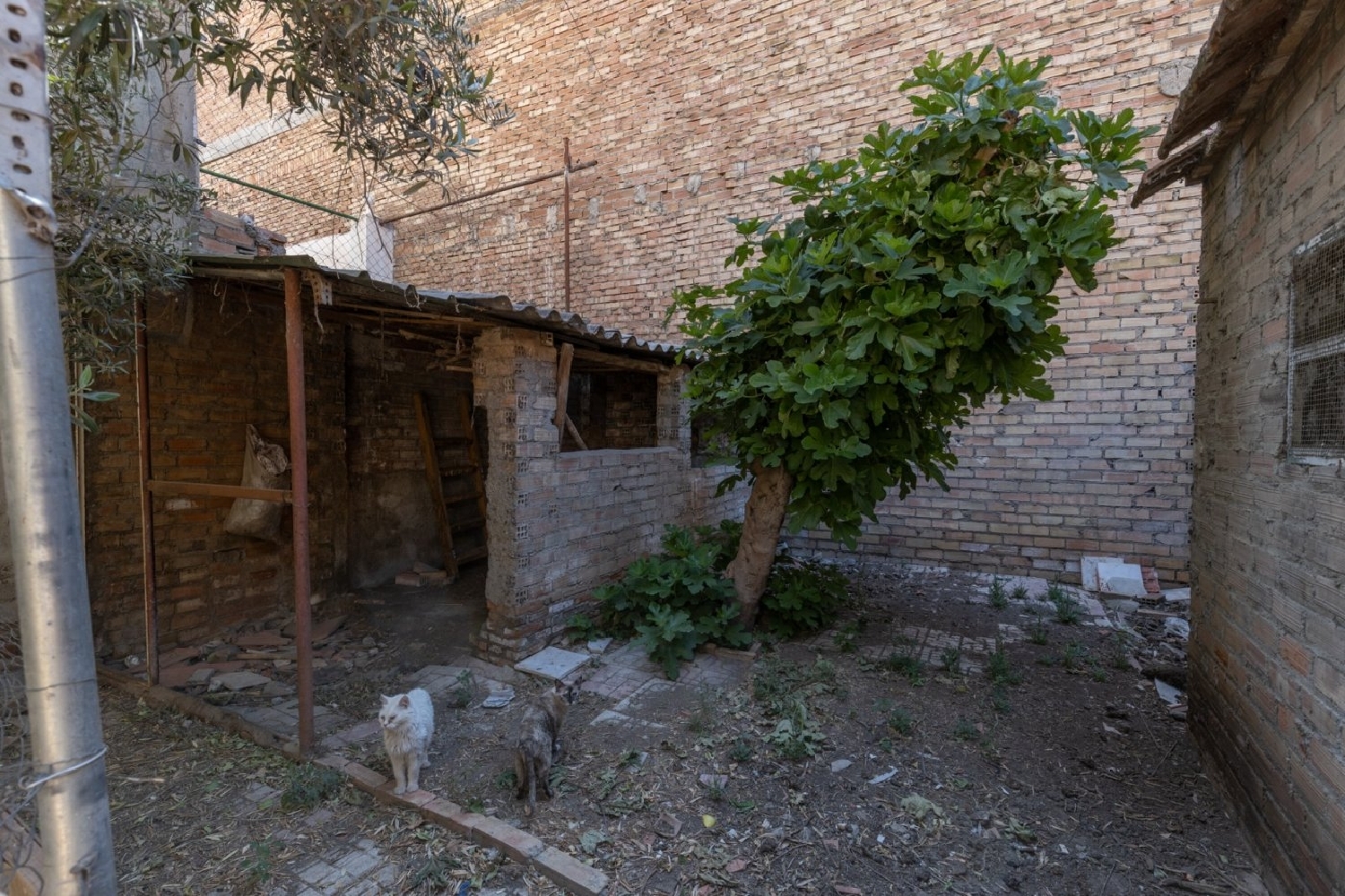  for sale plot Santa Juliana Vega De Granada 8
