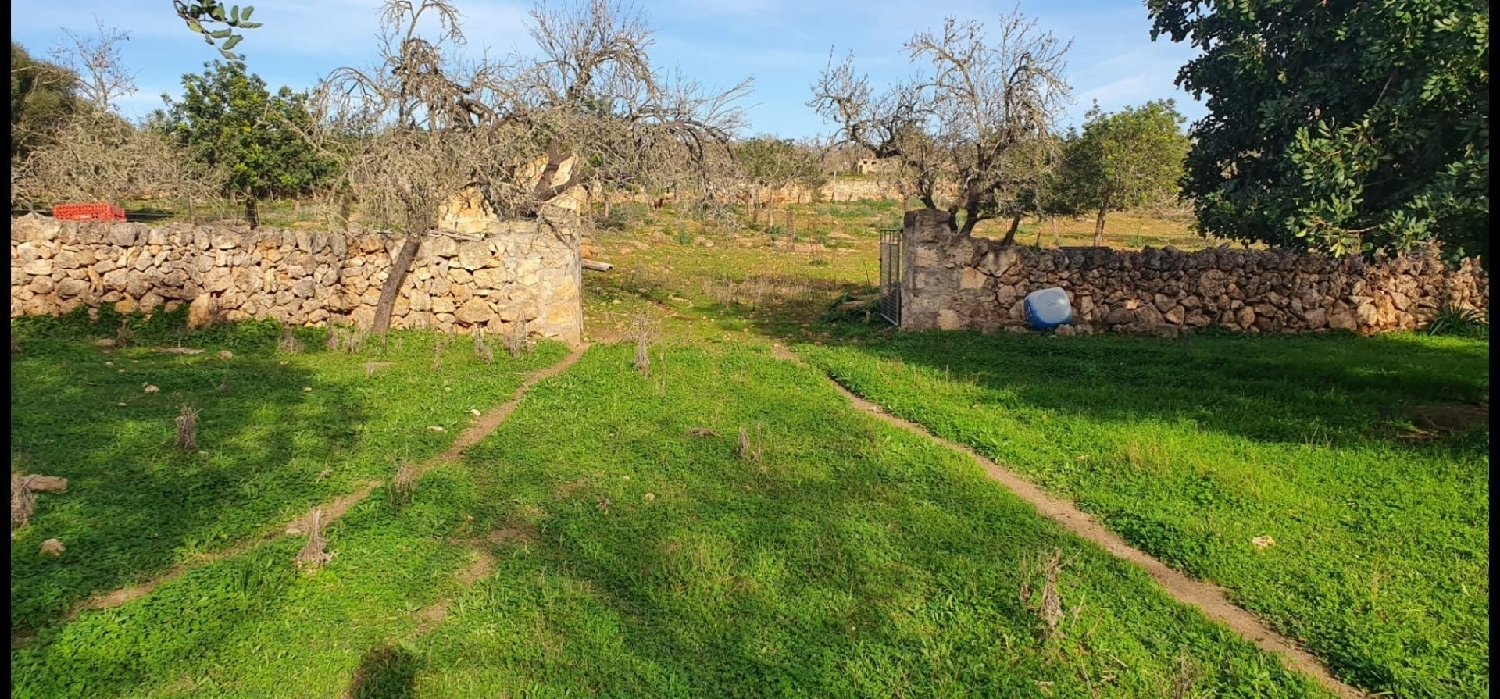  en venta terreno Santa Margalida Nord 4