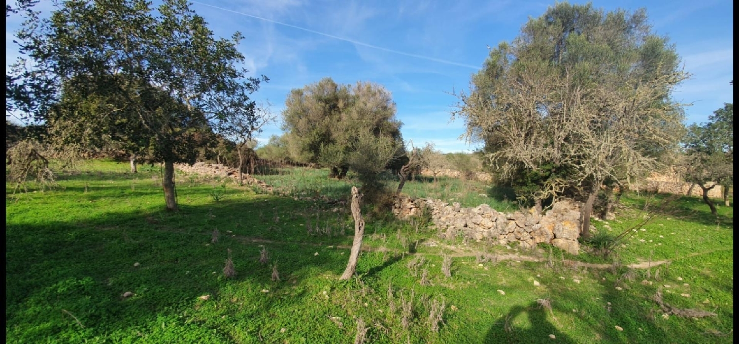 en venta terreno Santa Margalida Nord 3