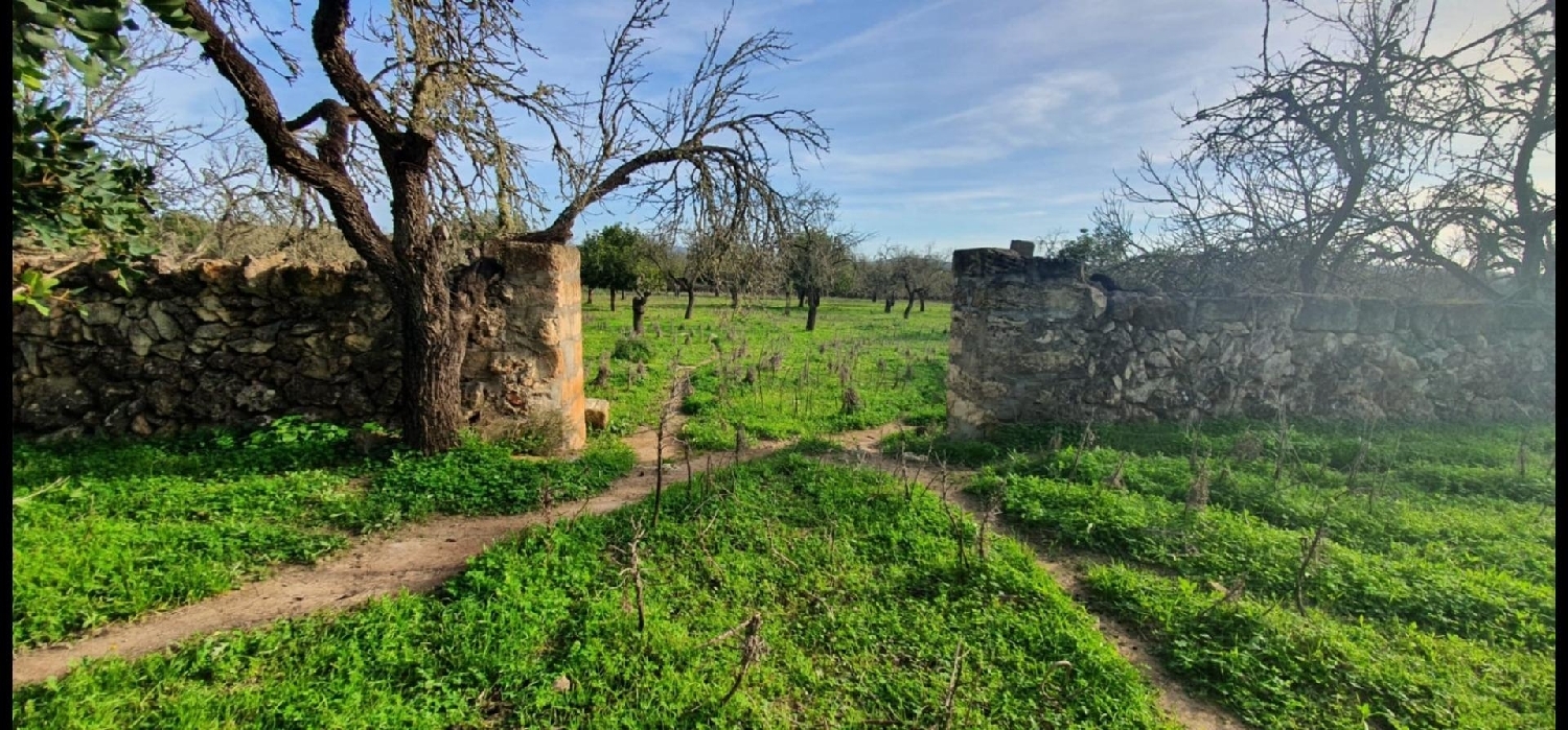 en venta terreno Santa Margalida Nord 2