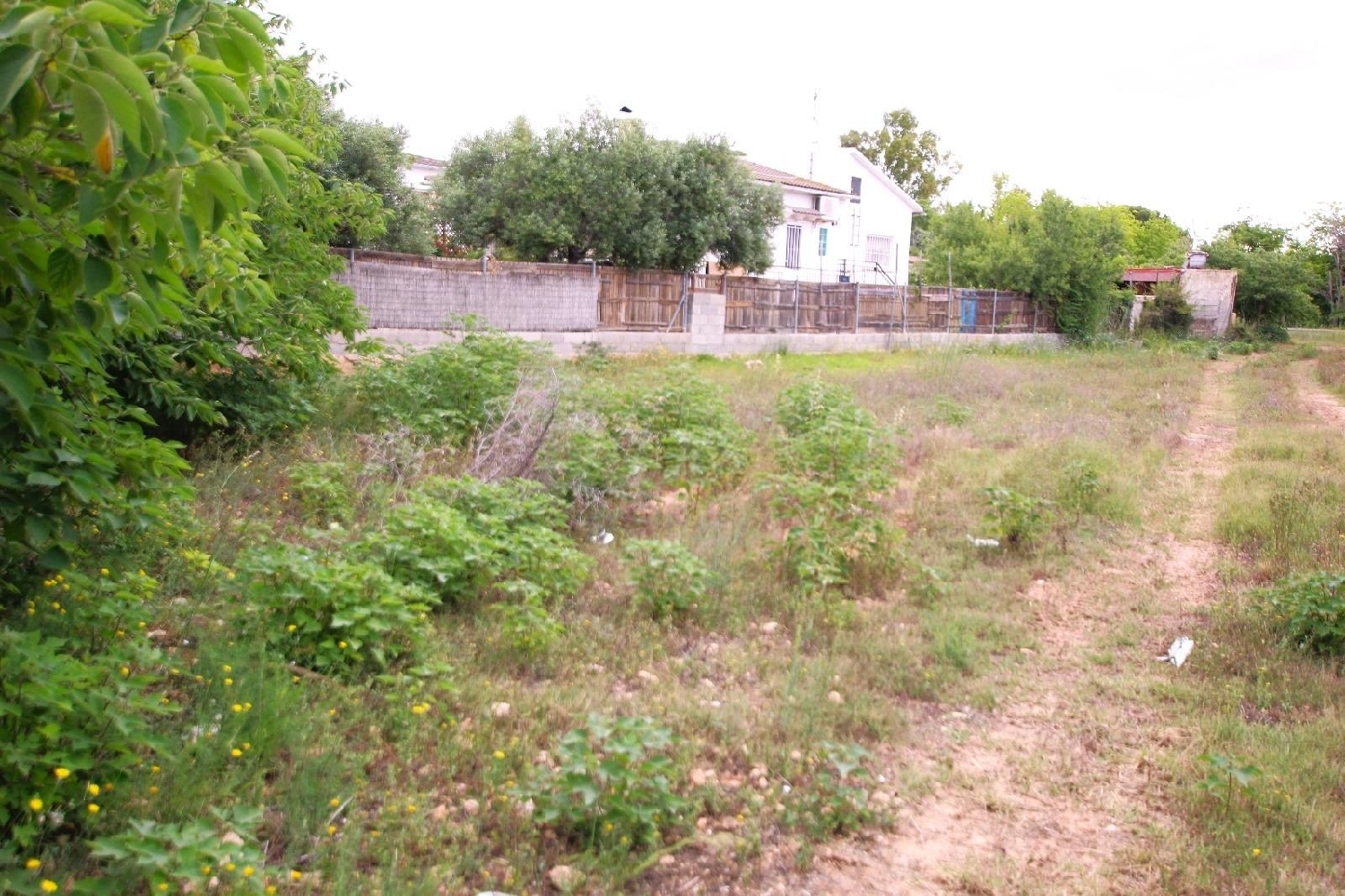  for sale plot Santa Oliva Baix Penedès 3