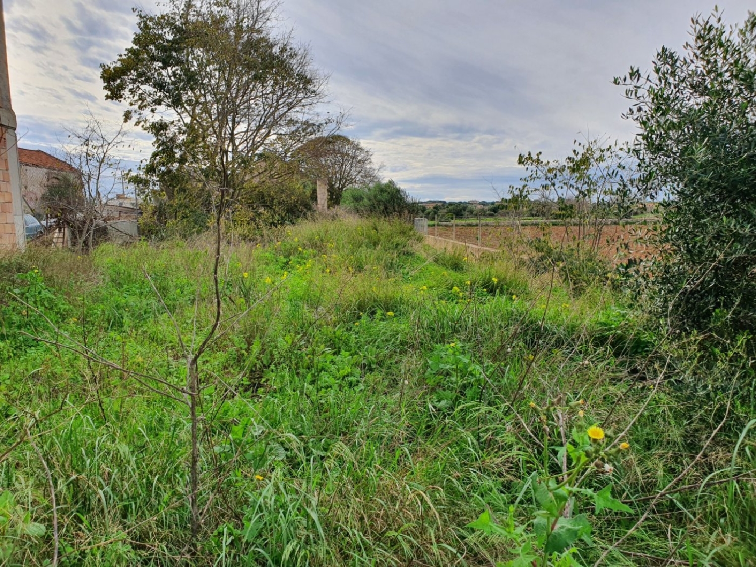  à vendre terrain Santanyí Sud 1