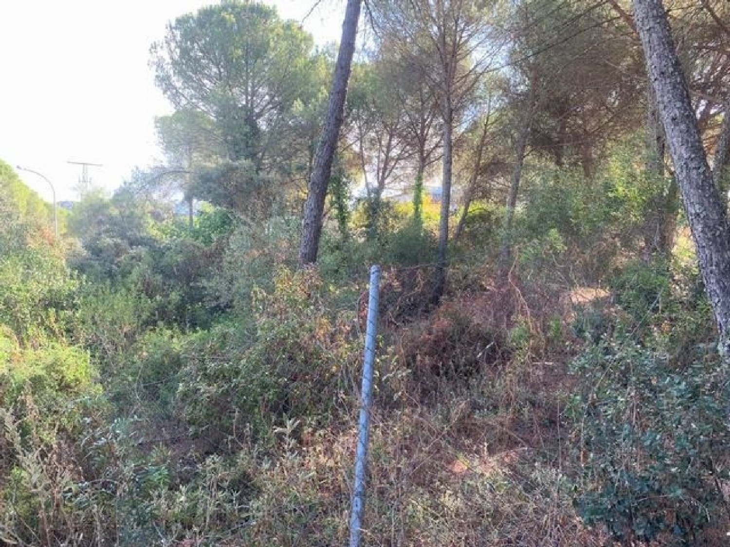 for sale plot Villafranca De Córdoba Alto Guadalquivir 2