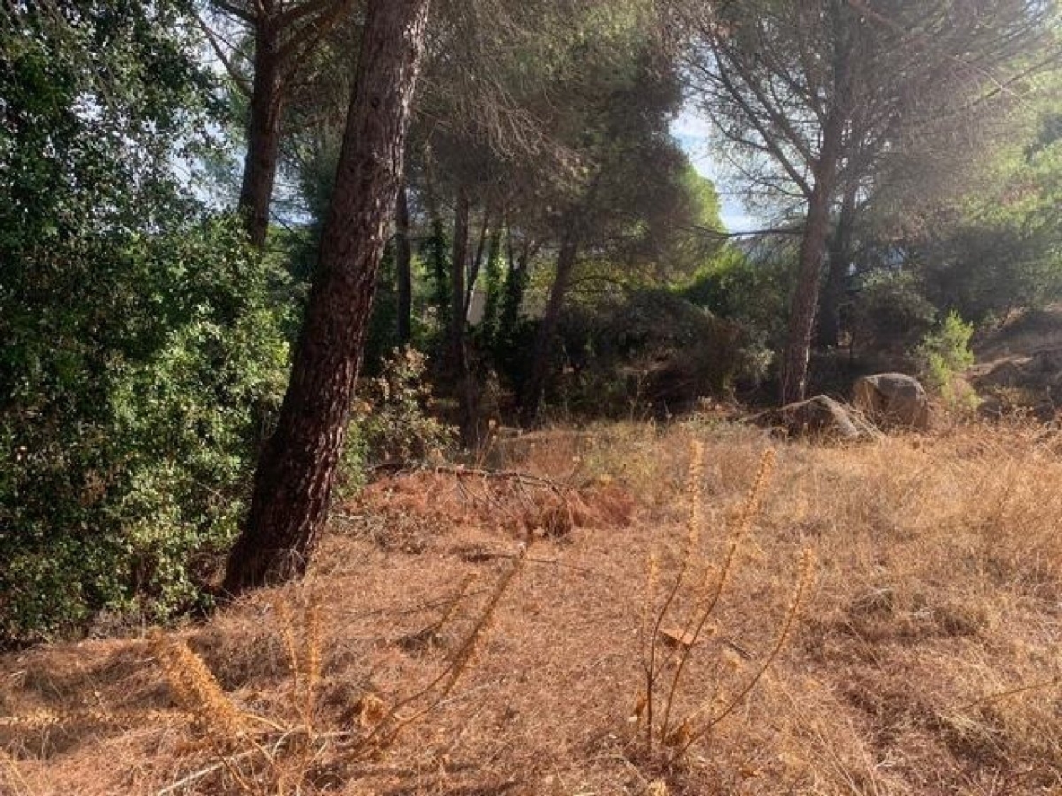  for sale plot Villafranca De Córdoba Alto Guadalquivir 1
