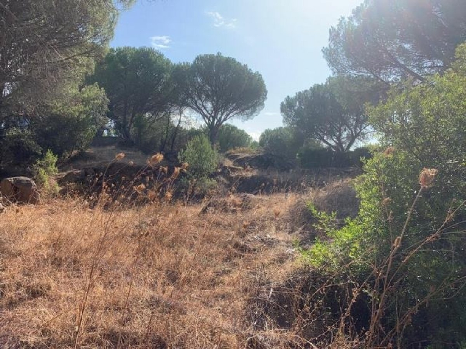 for sale plot Villafranca De Córdoba Alto Guadalquivir 3