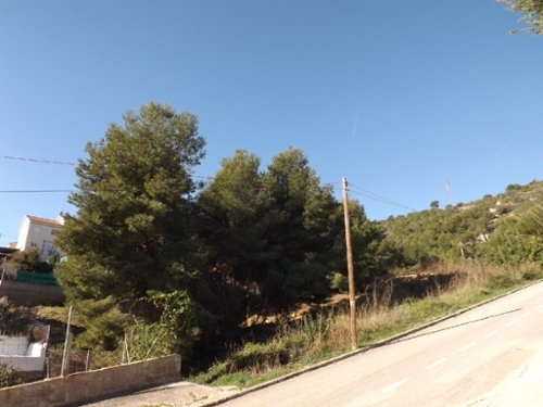 Segur De Calafell Baix Penedès tomt foto 6275849
