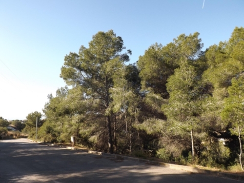 Segur De Calafell Baix Penedès tomt foto 6275852