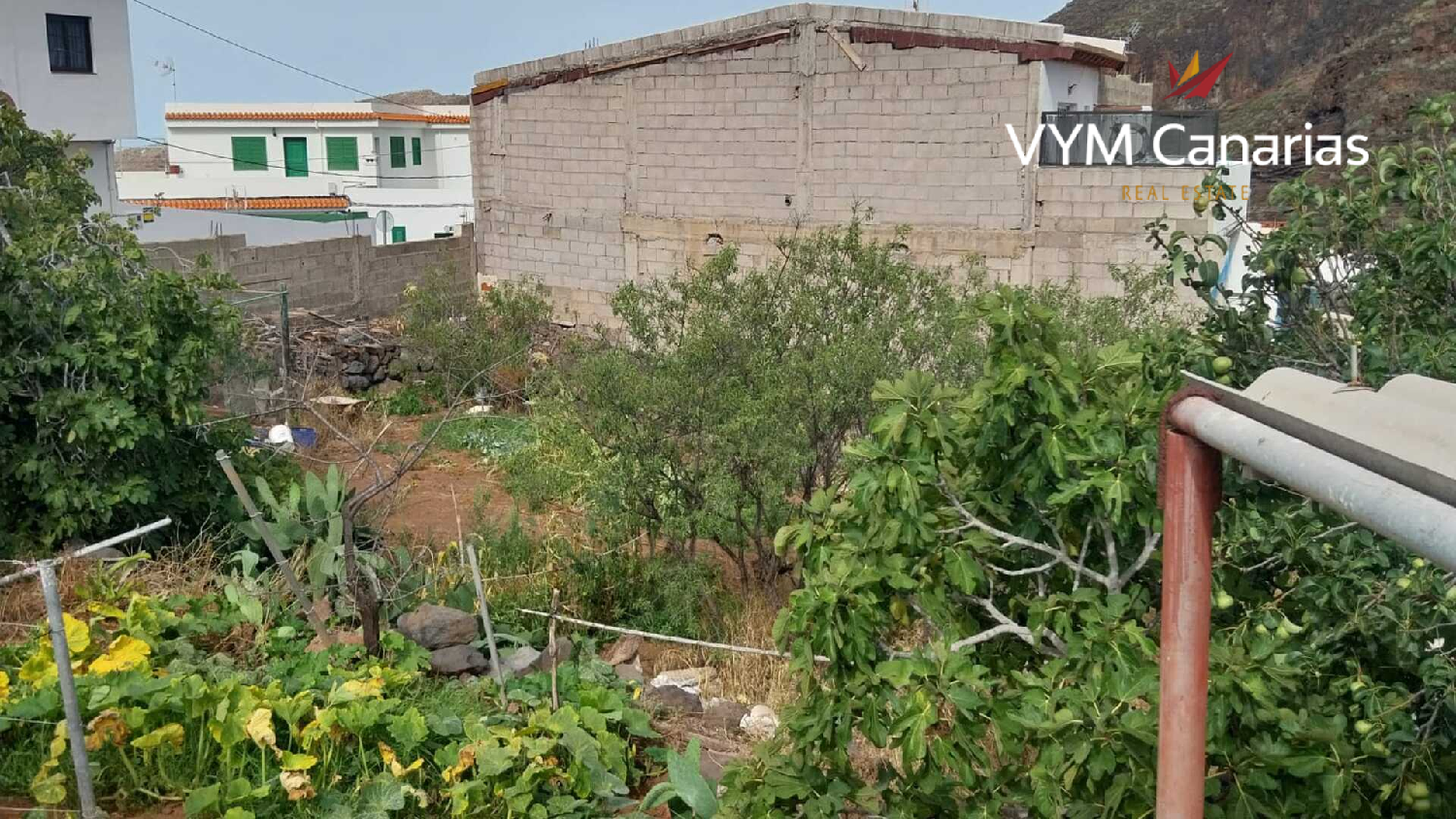  kaufen Grundstück Tamaimo Zona Suroeste 2