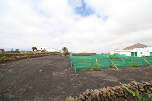 Tinajo Lanzarote tomt foto 6269904