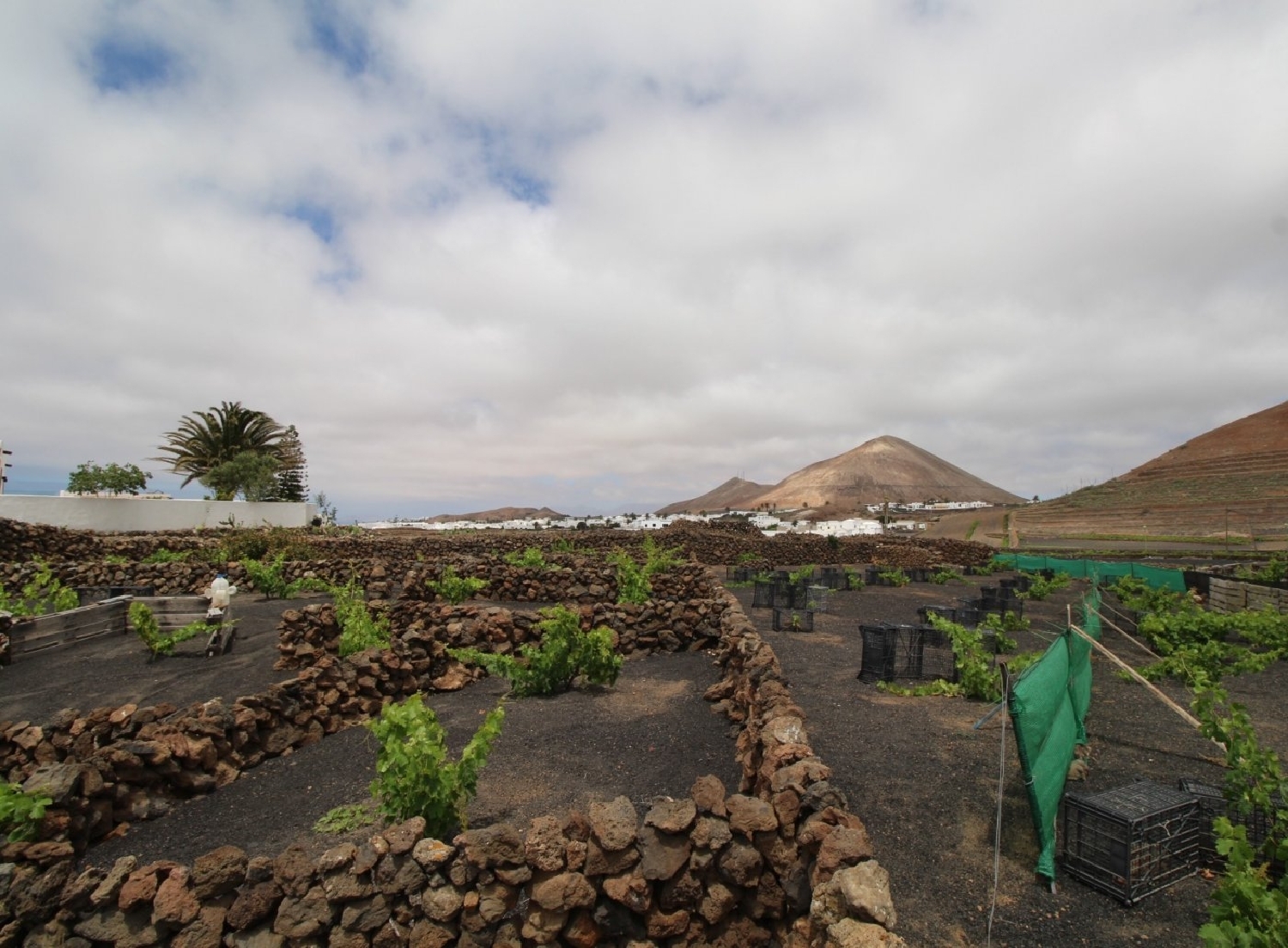 te koop perceel Tinajo Lanzarote 2