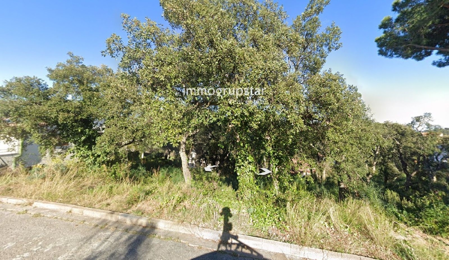 te koop perceel Torre Colomina Baix Empordà 3