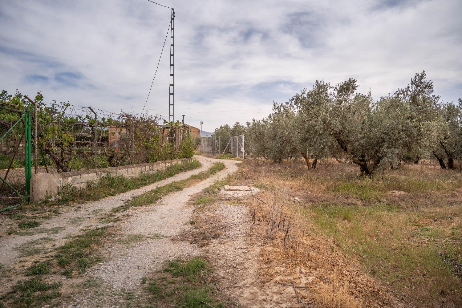 kaufen Grundstück Turón Alpujarra Granadina 2