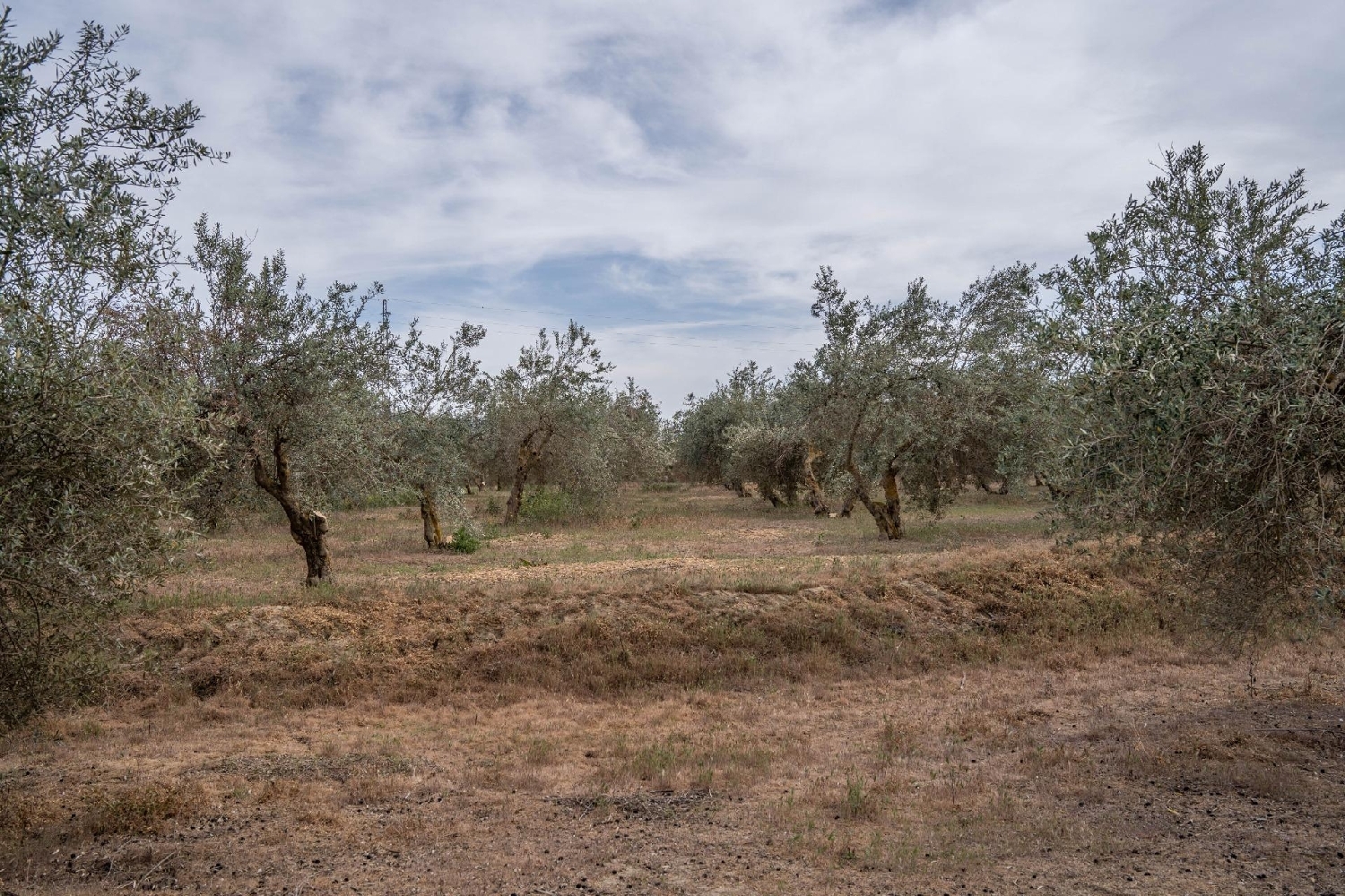  kaufen Grundstück Turón Alpujarra Granadina 7