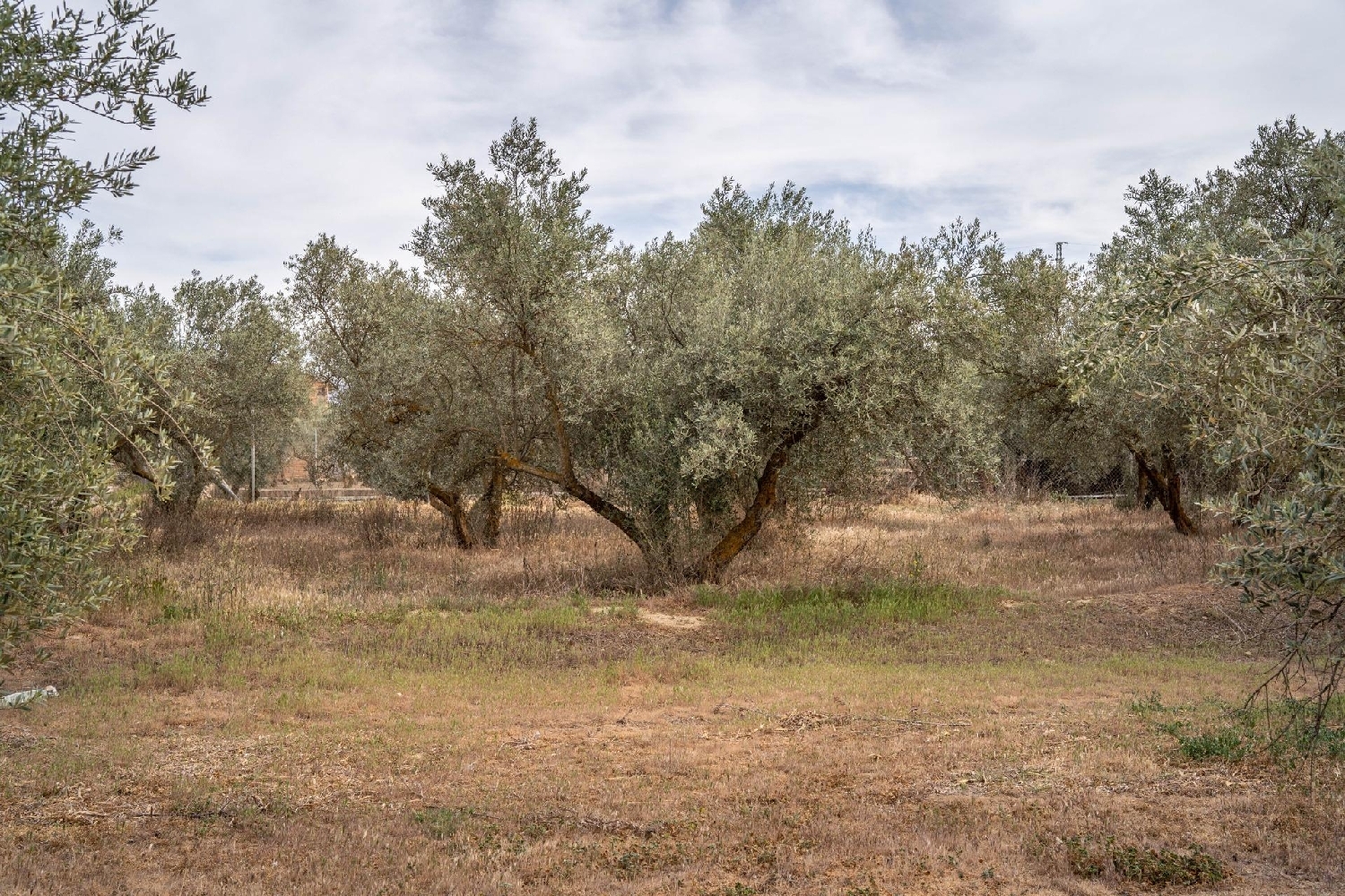  kaufen Grundstück Turón Alpujarra Granadina 8