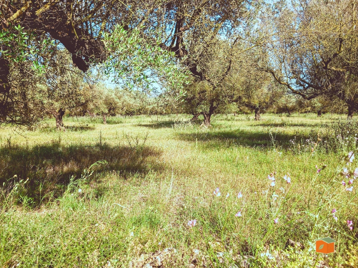  for sale plot Ulldecona Montsià 6