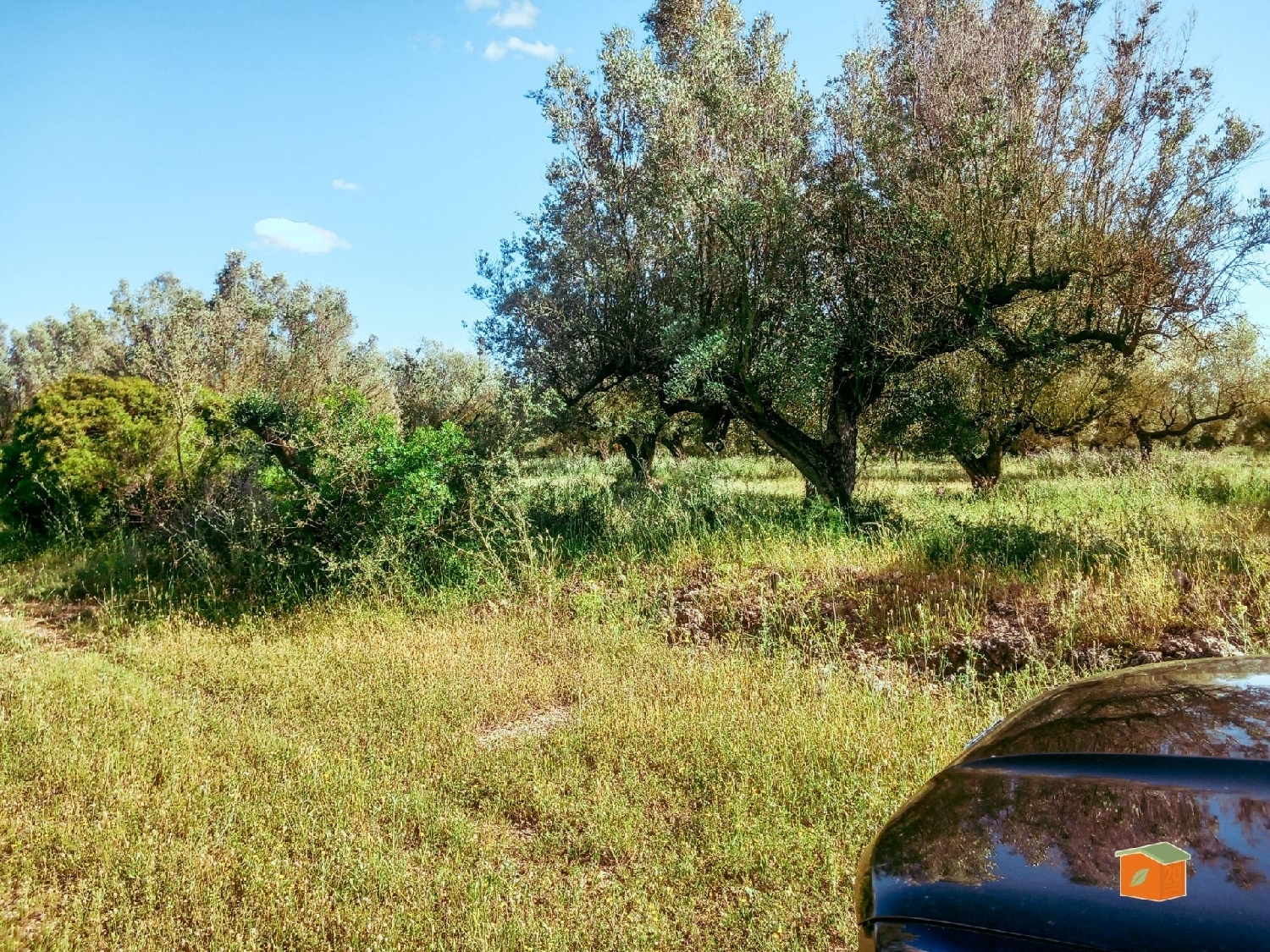  for sale plot Ulldecona Montsià 7
