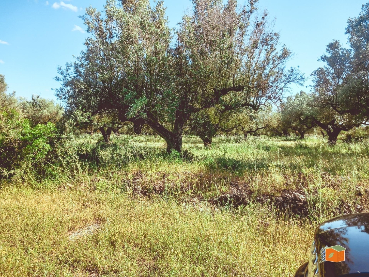  for sale plot Ulldecona Montsià 8