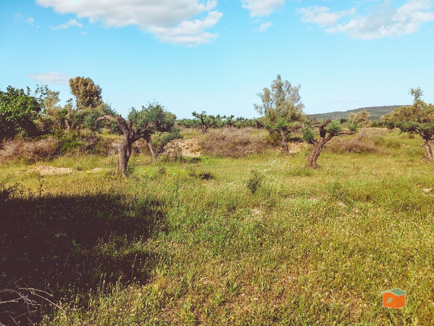  for sale plot Ulldecona Montsià 1
