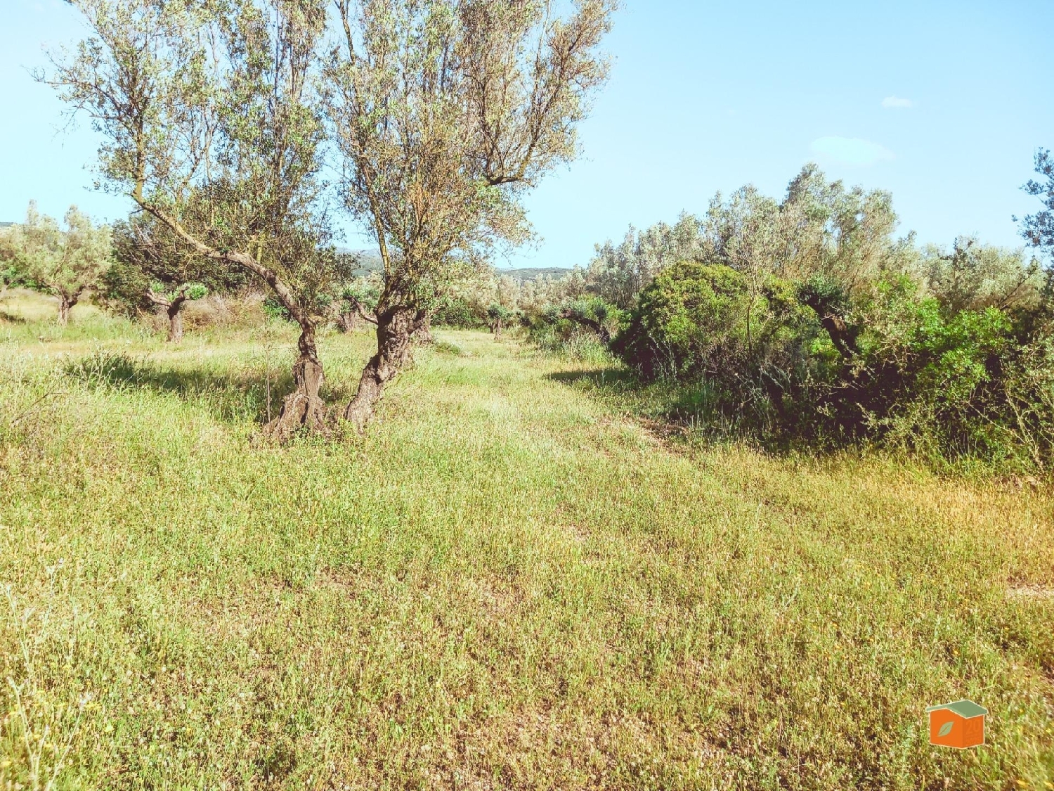  for sale plot Ulldecona Montsià 2