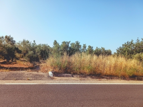 Ulldecona Montsià plot foto 6278643