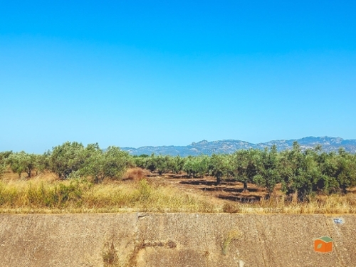 Ulldecona Montsià plot foto 6278644