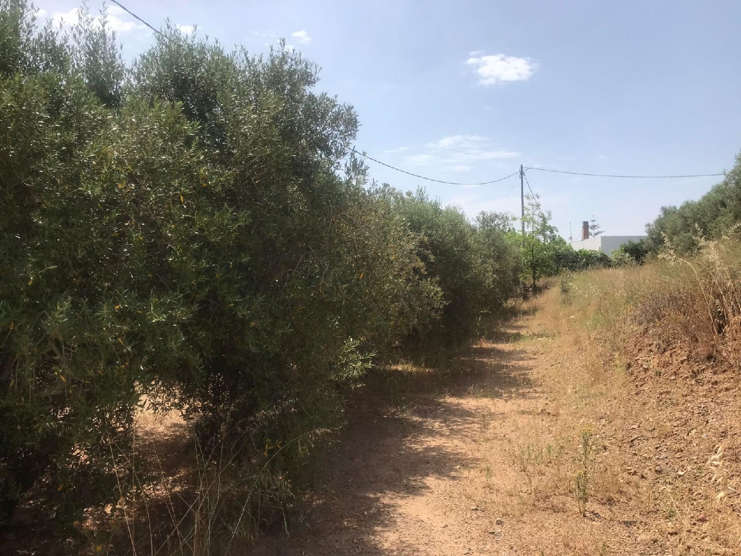  till salu tomt Urbanitzacio Eixample-Llevant Tarragonès 8