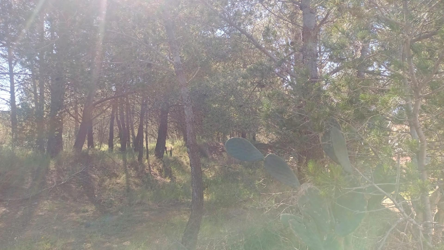  en venta terreno Urbanitzacio Les Boveres Alt Camp 5