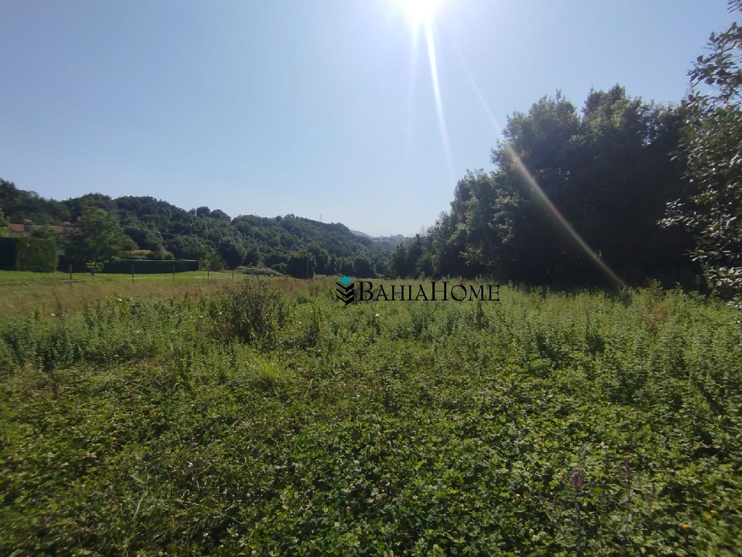 for sale plot Valdepielagos Cuenca Del Medio Jarama 3