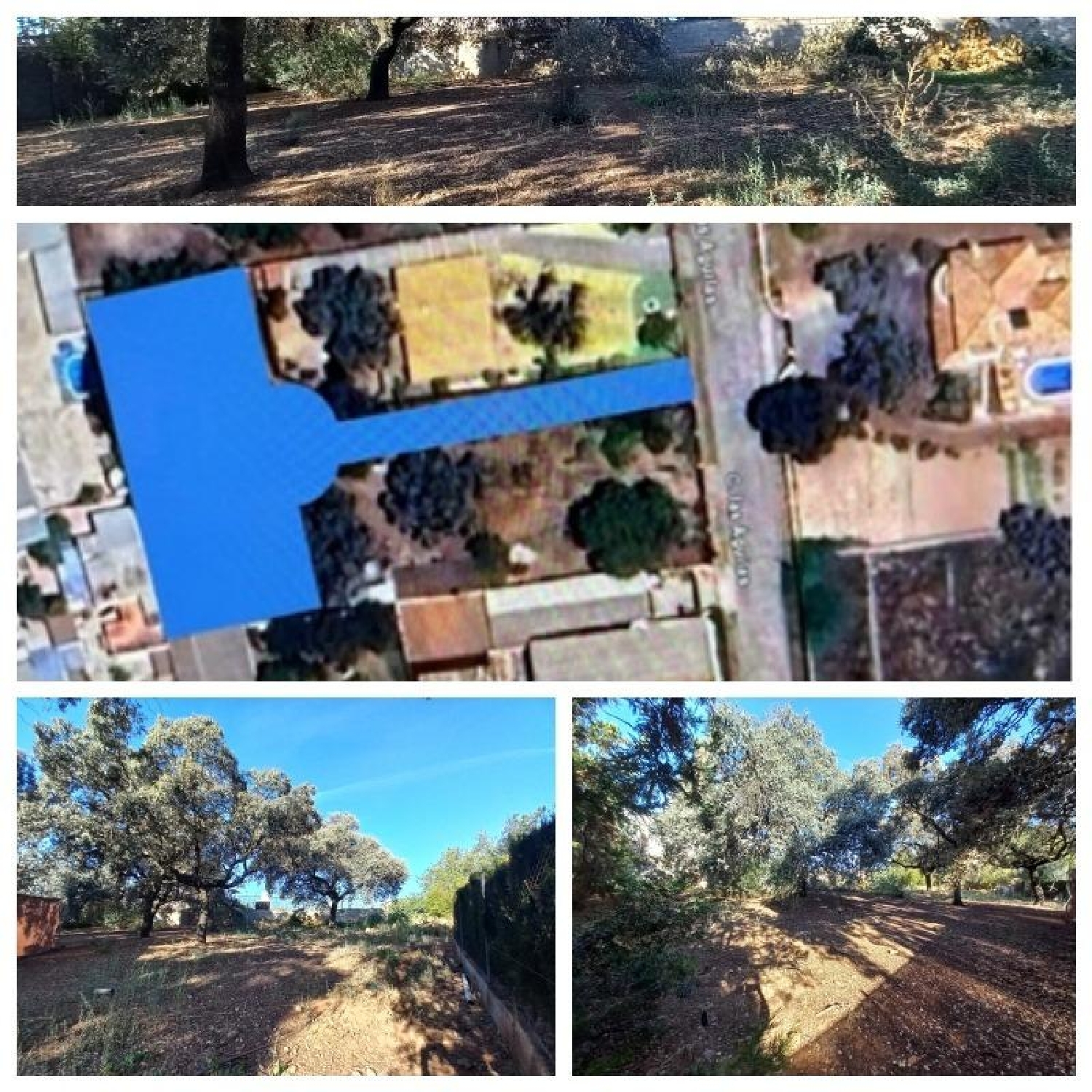  kaufen Grundstück Villafranca De Córdoba Alto Guadalquivir 5