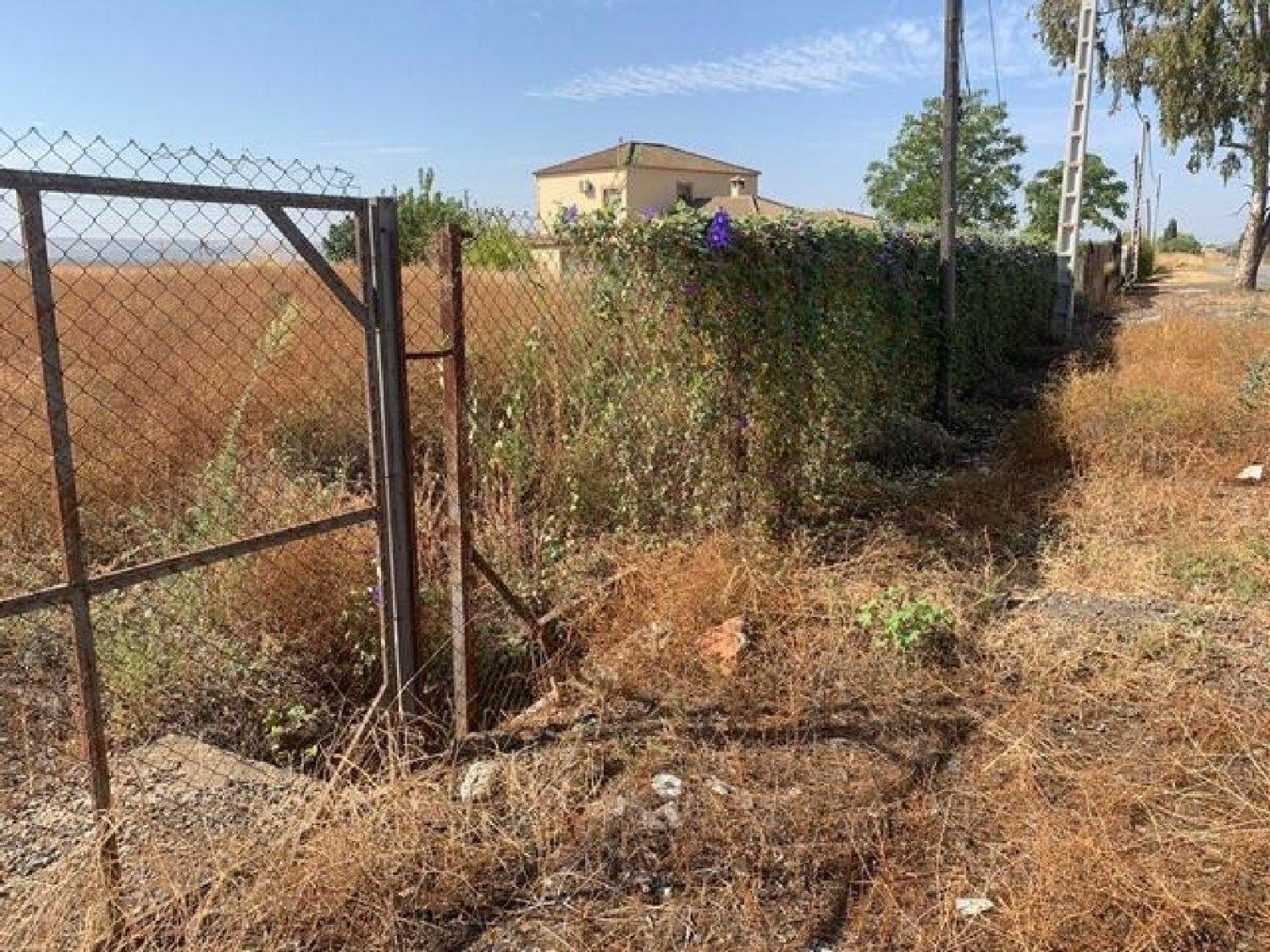  for sale plot Villafranca De Córdoba Alto Guadalquivir 4