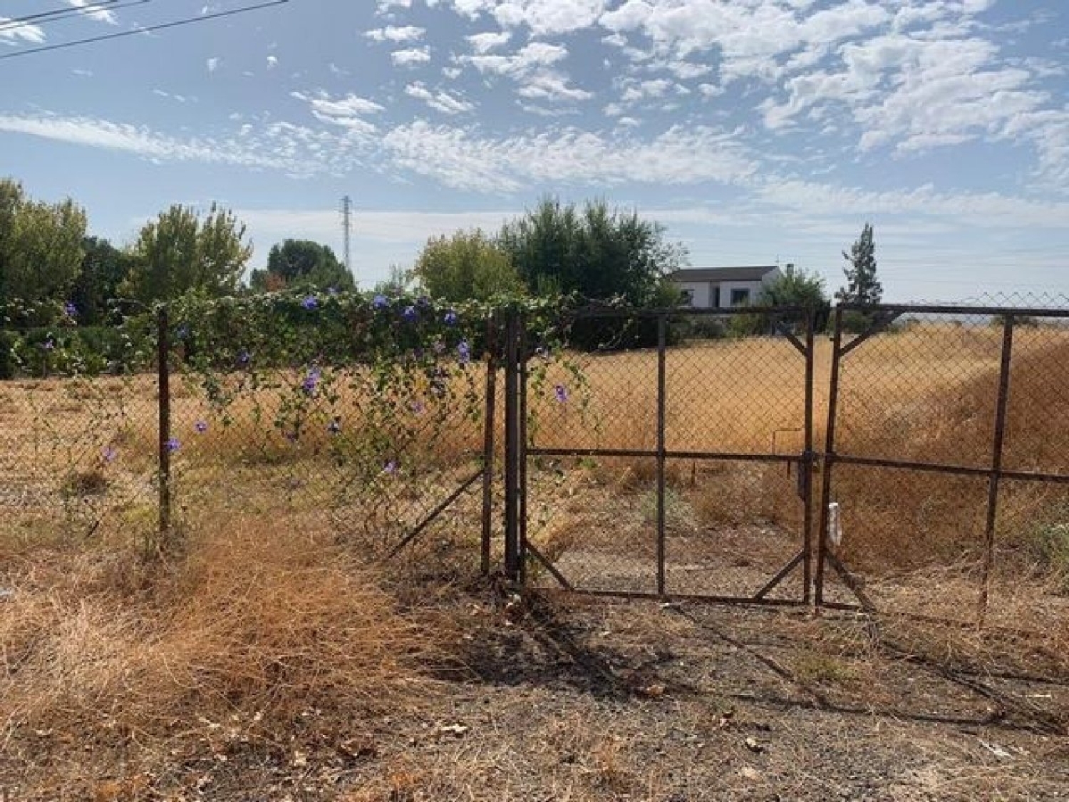 for sale plot Villafranca De Córdoba Alto Guadalquivir 3