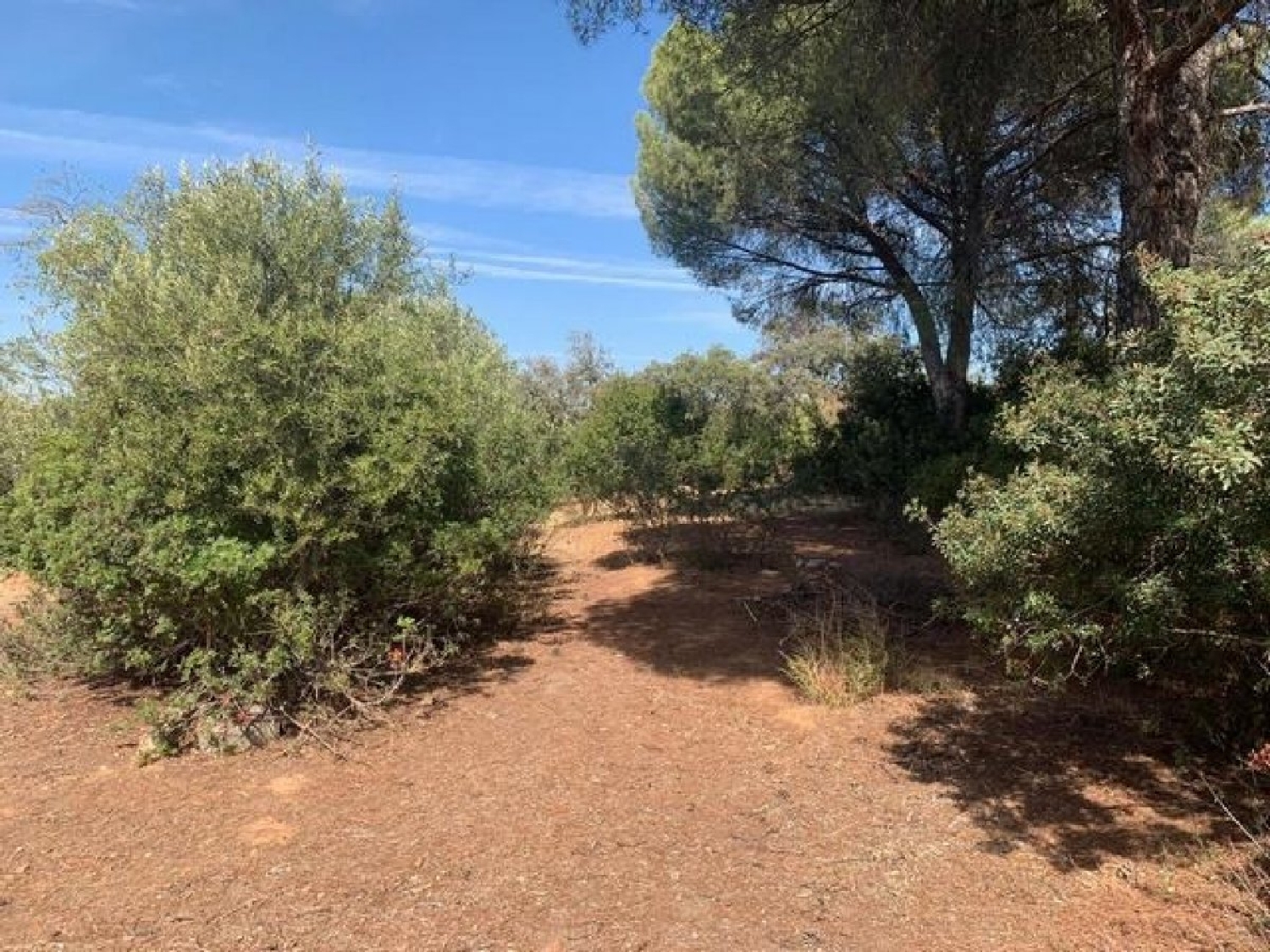  te koop perceel Villafranca De Córdoba Alto Guadalquivir 3