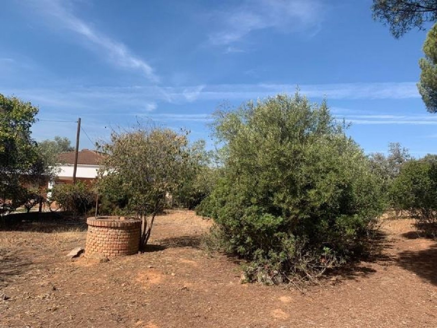  te koop perceel Villafranca De Córdoba Alto Guadalquivir 2