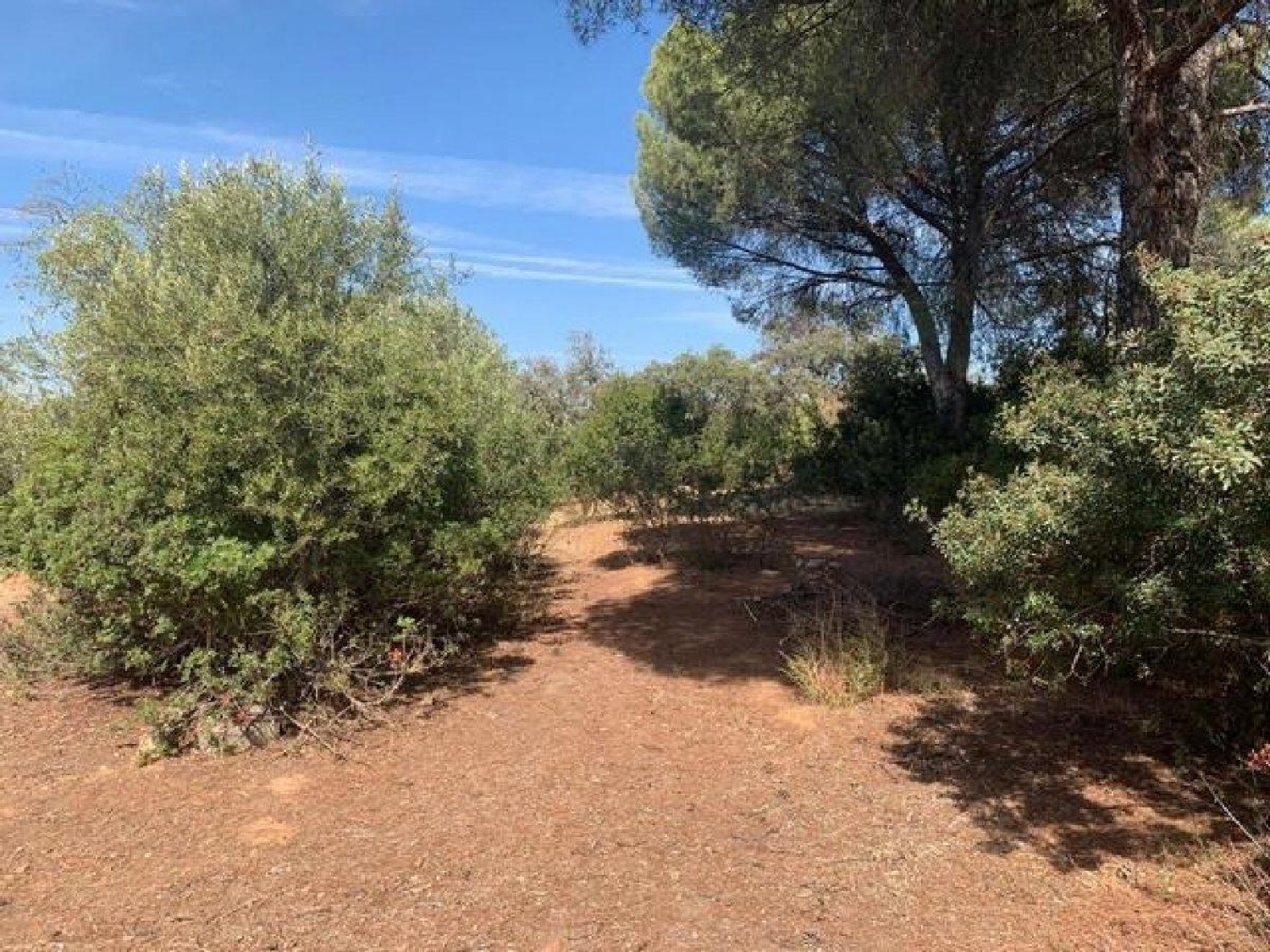  te koop perceel Villafranca De Córdoba Alto Guadalquivir 4