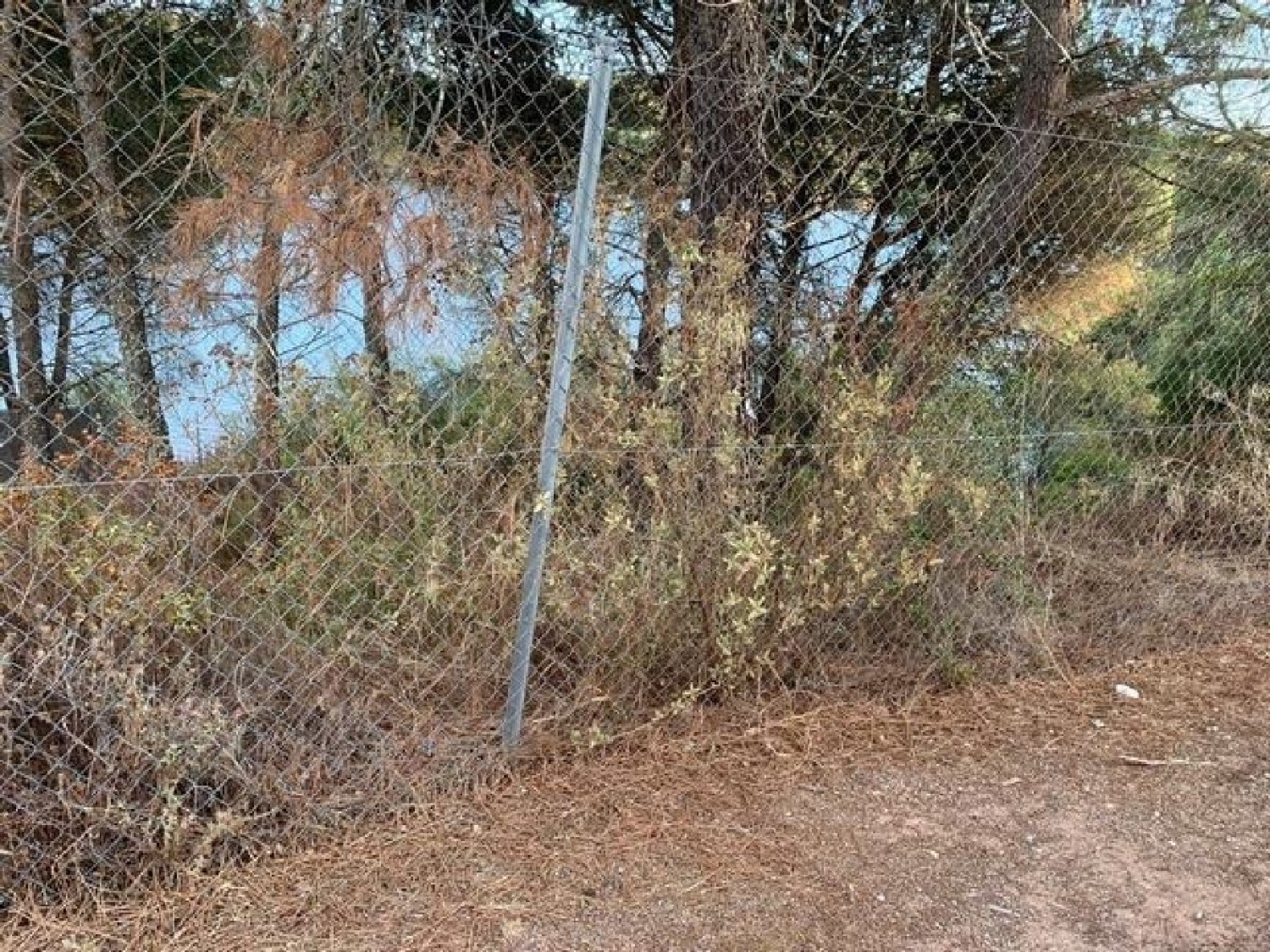  for sale plot Villafranca De Córdoba Alto Guadalquivir 3