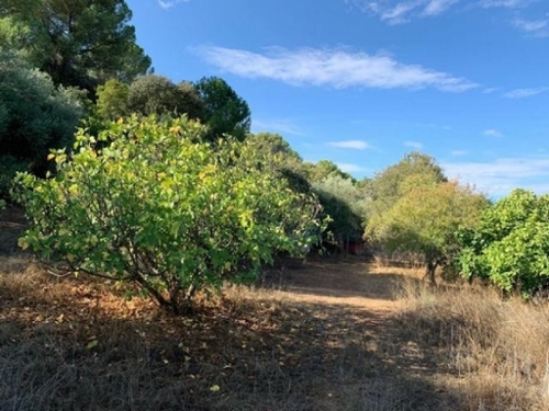 Villafranca De Córdoba Alto Guadalquivir tomt foto 6273976