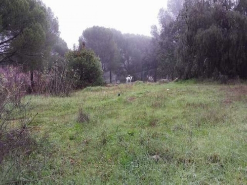 Villafranca De Córdoba Alto Guadalquivir tomt foto 6273987