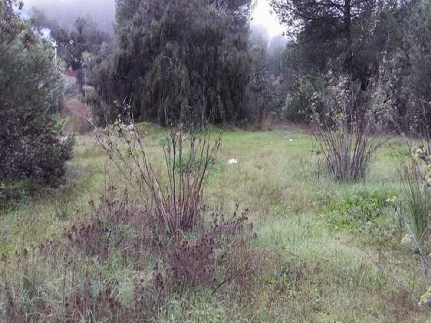 for sale plot Villafranca De Córdoba Alto Guadalquivir 2