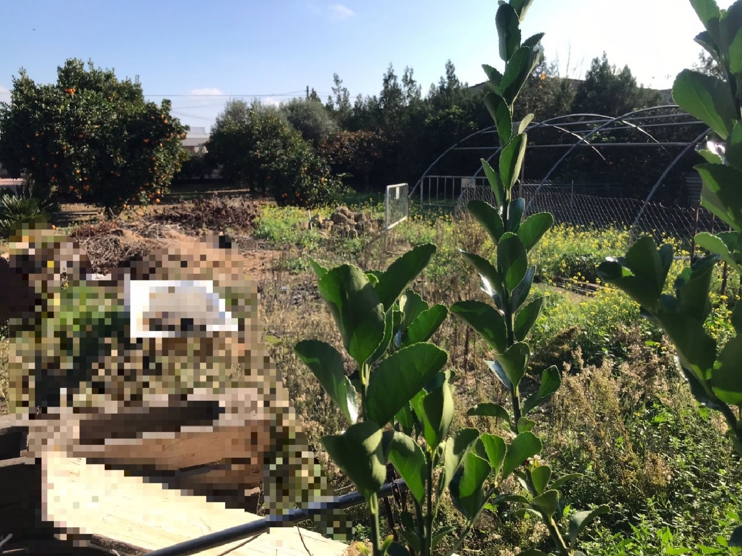 te koop perceel Villafranca De Córdoba Alto Guadalquivir 3