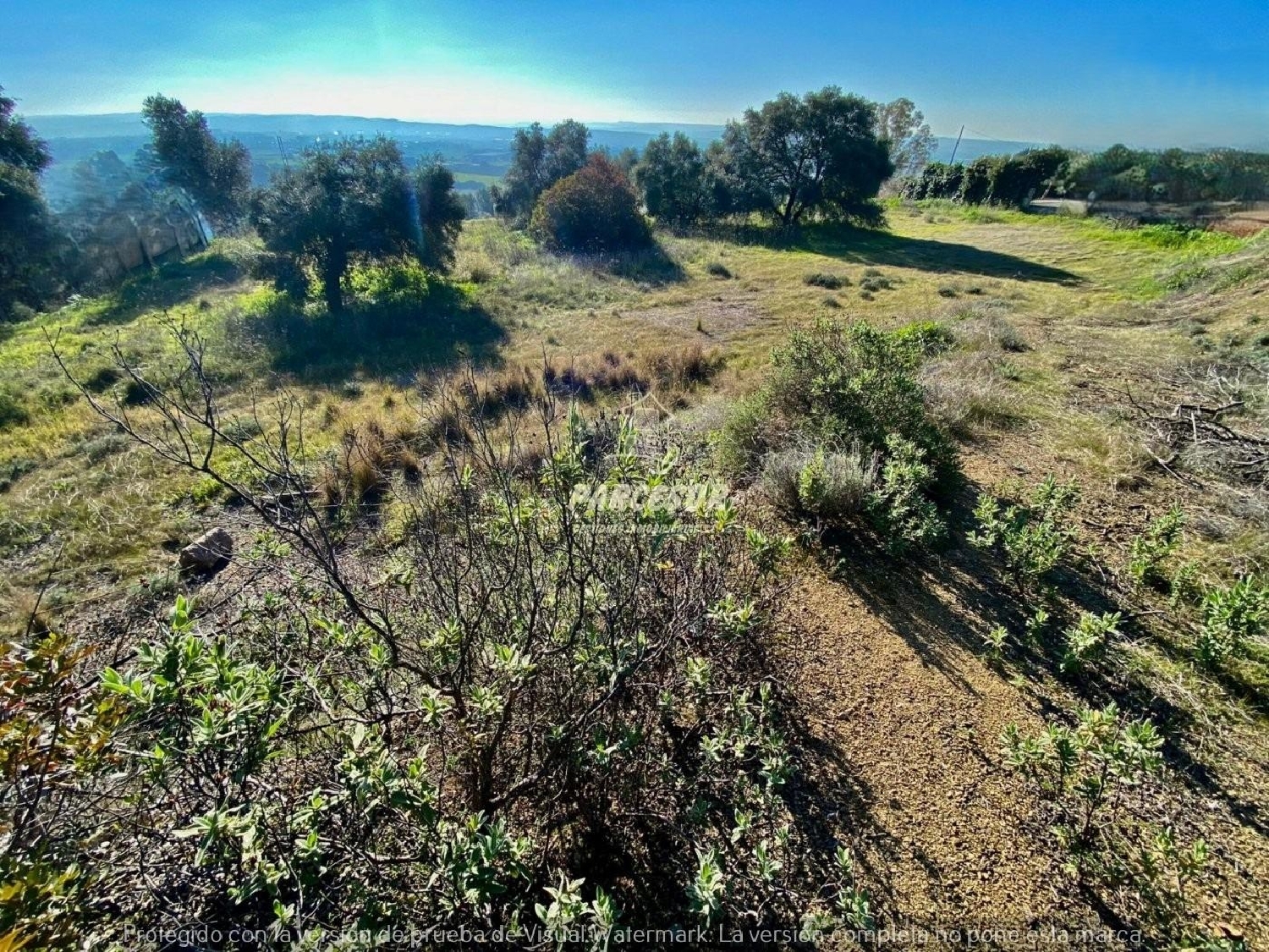  te koop perceel Villafranca De Córdoba Alto Guadalquivir 4